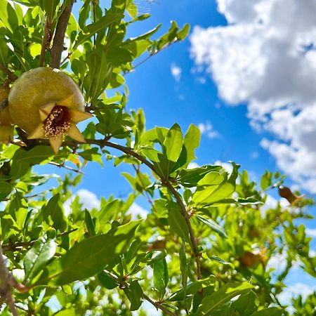 Appartamento Podere Poggio Salto Pienza Esterno foto