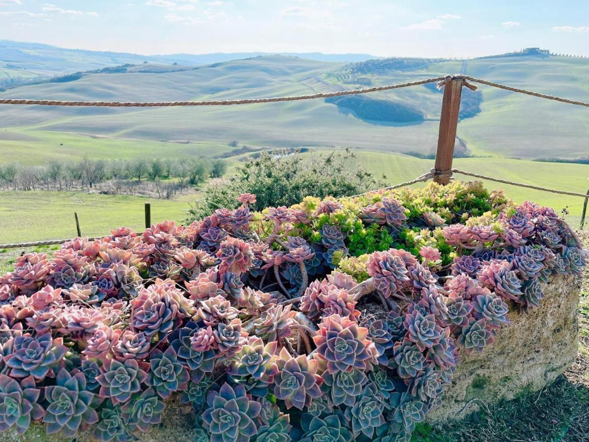 Podere Poggio Salto Pienza Esterno foto