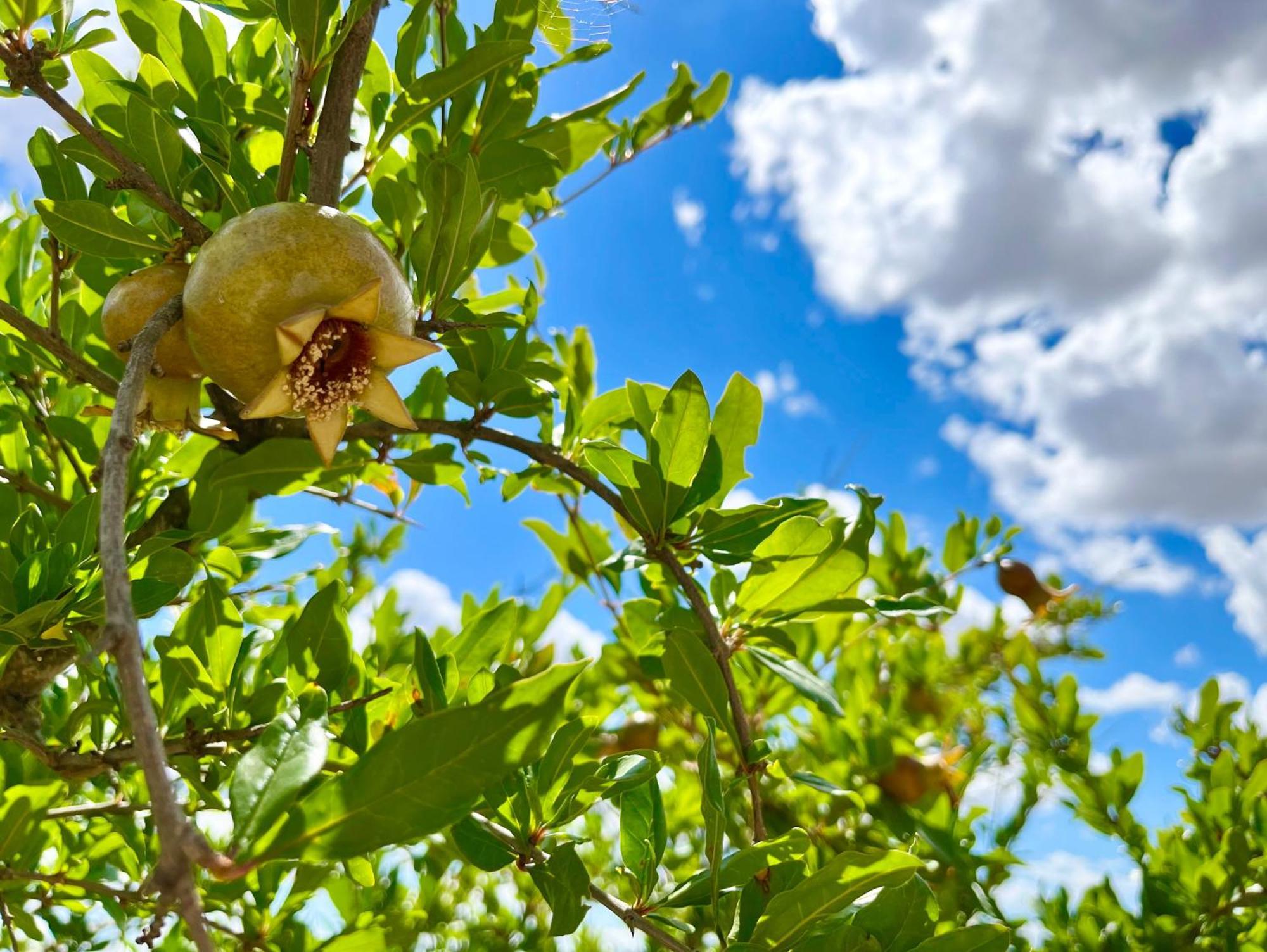 Podere Poggio Salto Pienza Esterno foto