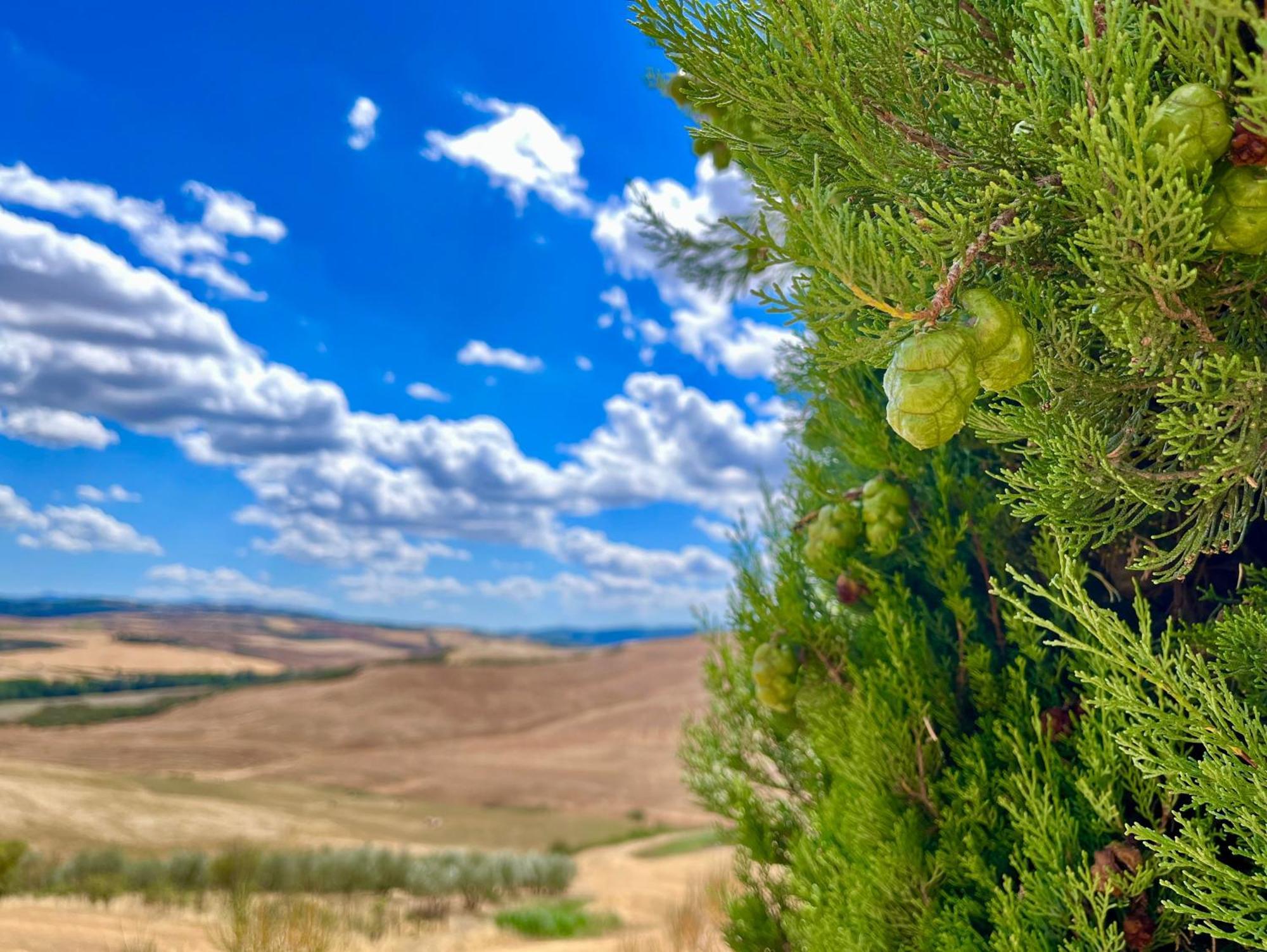 Podere Poggio Salto Pienza Esterno foto