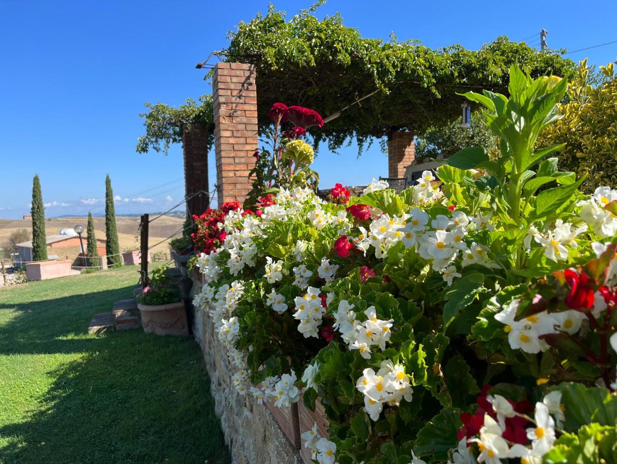 Appartamento Podere Poggio Salto Pienza Esterno foto